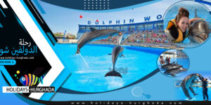 رحلة الدولفين شو Dolphin show