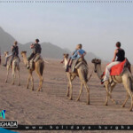 حجز رحلة سفاري الغردقة بافضل الاسعار| رحلات الغردقة 