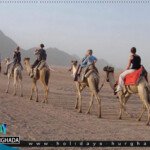 حجز رحلة سفاري الغردقة بافضل الاسعار| رحلات الغردقة ﻿