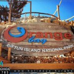 orange island trip