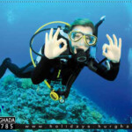 رحلة دايفينج الغردقة