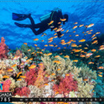 دايفينج الغردقة