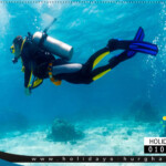 برنامج رحلة غوص الغردقة