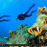 diving hurghada