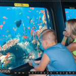 سعر حجز غواصة الغردقة 3 ساعات