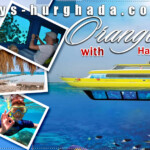 حجز رحلة جزيرة اورانج مع غواصة هابى دولفين